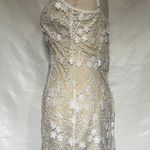 Lucy in the Sky Lace Applique Shimmer BodyCon Dress Sz S Cream Sleeveless Fairy Photo 4