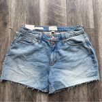 Universal Threads NWT Universal Thread Curvy Vintage Denim Midi Jean Shorts Size 10 Raw Hem Photo 6