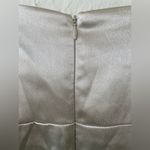 Birdy Grey Lydia Dress Shiny Satin Champagne, mermaid skirt, cowl neck; size 3X Photo 6