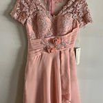 Blush Lace Appliqué Short Formal Dress Size 4 Bridesmaid Cocktail Party Gown Pink Photo 0
