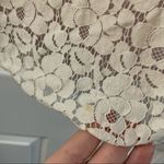 Talula Tan/Pink Lace Scoop Neck Sleeveless Blouse Photo 6