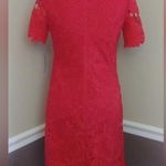 Donna Ricco NWT  Red Cutout Lace Short Sleeve Knee Length Modcloth Shift Dress 4 Photo 2