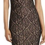 Dress the Population Lace Mini Dress New Photo 0