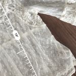 Free People boho mesh sheer lace long sleeve blouse Photo 3