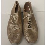 UGG  Women’s Gold Metallic Shimmery Tye Stardust Sneakers Shoes 7.5 Photo 0