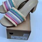 J.Crew Women’s Classy Seasonal Style Woven Mule Raffia Rainbow Sandals Sz 8.5 Photo 2