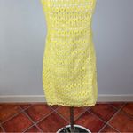 Lilly Pulitzer  Lakeland Starfruit Lace Strapless Dress Photo 5