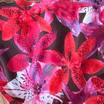 NWT Leilani Cali Pant Floral tropical Bikini bottom quicksilver size 12 Orange Photo 7