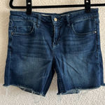 Pilcro and the Letterpress Anthropologie Women’s Denim Soft Stet Shorts Size 29 Photo 0