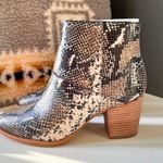 Madewell The Rosie Moonstone Multi Ankle Boots In Snake Embossed Leather Size 7 Photo 3