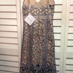 Anthropologie  Elliatt Lilac Lace Dress Photo 8