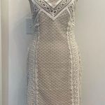 Greylin Off White Crochet Lace Nude Lined Cocktail Boho Mini Dress Photo 0