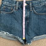 Aritzia “Denim Forum”: The Farrah Cheeky Short Photo 3