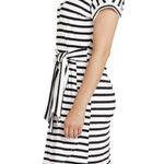 CHAPS  ladies crewneck knit dress nwt Photo 5