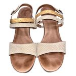UGG  Lira Mar Cream & Tan Embossed Leather Wedge Sandals Shoes Women’s size 10 Photo 1