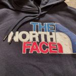 The North Face  USA hoodie Photo 1