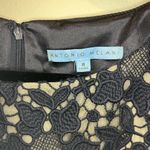 Antonio Melani NWT navy lace dress sheath cocktail mother of the bride size 8 Photo 3