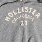 Hollister ​ California '22 Bird Logo Gray Fleece Sweatshirt Hooded Large Photo 2