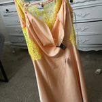 Forever 21 Pink Lace Silk Dress Photo 1