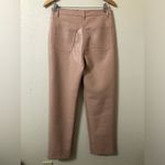 Wilfred  The Melina Pant Soft Terracota Vegan Leather High Rise Straight Size 8 Photo 3