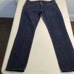 Hudson Jeans  Women's Dark Blue Skinny Jeans Photo 2