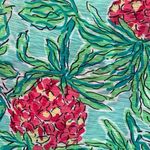 Lilly Pulitzer Spike The Punch Cassie Tshirt Shift Dress Cotton Size X-Small XS Photo 3