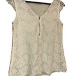 The Limited  Elegant Cream Lace Top Photo 3