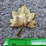 Sarah Coventry Gold Color Metal Leaf Shape Jewelry Pin Brooch Faux Pearl Accent Photo 4