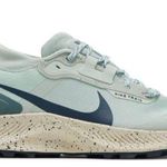 Nike Women’s Pegasus Trail 3 GTX Photo 0