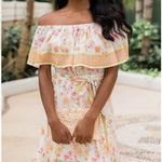 Pink Lily  beautiful maxi dress Photo 6