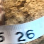 Lucky Brand  Mauve Long Sleeve Shirt Small Photo 13