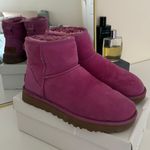 UGG Mini  Boots Photo 0