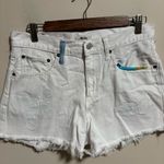 Ralph Lauren Polo by Crosby Boho White Rainbow Shorts- Size 28 Photo 2