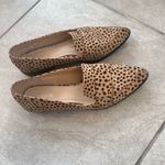 Bar III  leopard flat Photo 2