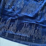 Skies Are Blue  New Navy Sequin Holiday  Velvet Skirt preppy old money small Photo 1