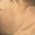 Salvatore Ferragamo Vintage Floral BOHO Printed Gancini 30 Denim Shoulder Bag Photo 10