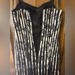 Maner Black and White Striped Dress Photo 5
