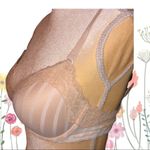 Heidi Klum super cute beige bra Tan Size undefined Photo 1