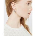 Ted Baker ππ Ronda Rivoli Crystal Drop Earrings Photo 7