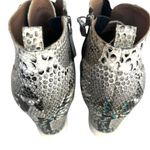 Linea Paolo  Snake Skin Print Wedge Sneakers Photo 5