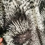 Chico's Very dressy CHICO’S poncho 🌺 Photo 7