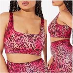 Pretty Yitty Headliner Shaping Midi Bralette Yitty Kitty Magenta black SMALL NEW Pink Size M Photo 1