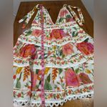 Farm Rio  Colorful Floral Lace Dress Photo 13