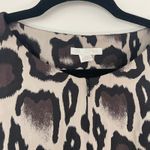 PAULE KA 38 (US 6) Animal Print Belted Lined Dress Designer Leopard Grosgrain Brown Photo 4