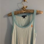 Ralph Lauren  blue and white striped tank top dress size L Photo 1