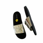 Calvin Klein NWT  Silver Logo CK Logo Slide Sandal Photo 1