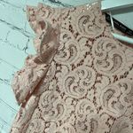 ZARA 2PC Pink Lace Ruffle Drop and MIDI Skirt Snall Photo 4