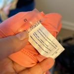 Hot Water NWT  COTAL BANDEAU BIKINI TOP Photo 4