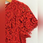 ZARA  Red Lace Dress Short Sleeve Lined Sheath Sz XS Cocktail Business Event Photo 3