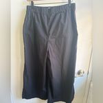 Maeve  Anthropologie‎ High Rise Pleated Wide Leg Cropped Track Pants medium Photo 7